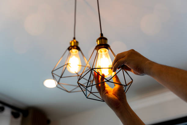 Best Electric Panel Repair  in Boyceville, WI
