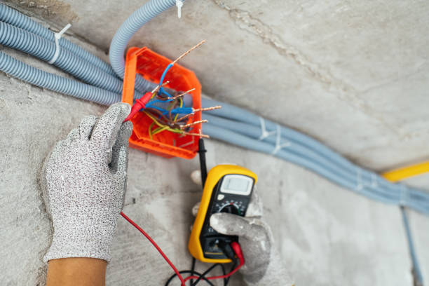 Best Electric Panel Repair  in Boyceville, WI